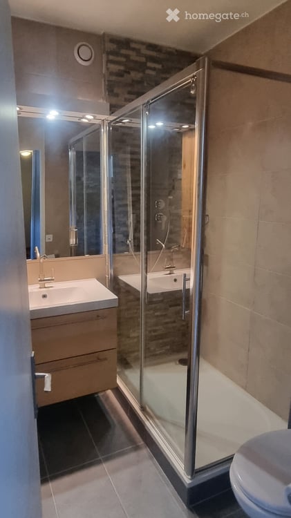 Appartement à Grand-Lancy 7