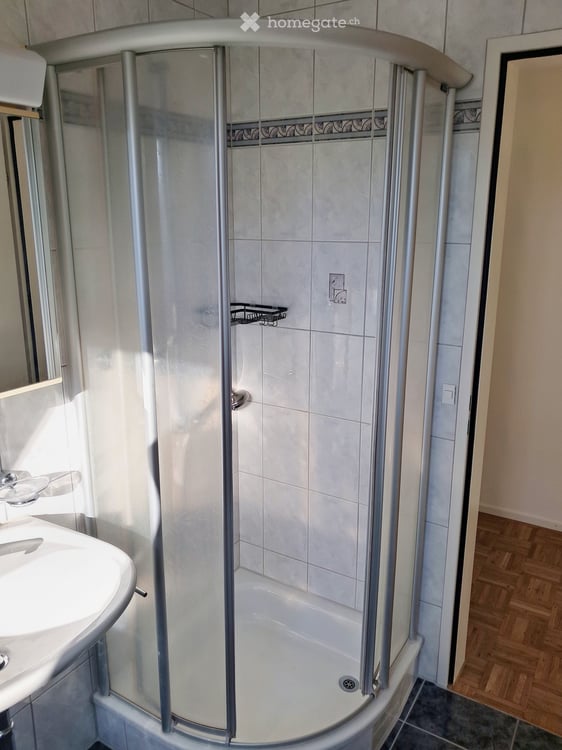 Geräumige + helle 3.5 - Zimmer - Dachwohnung mit eigenener Dachterrasse (35 m2) 5