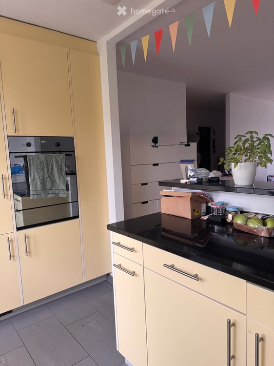 Attraktive Wohnung mit Cheminée und Aussicht 2