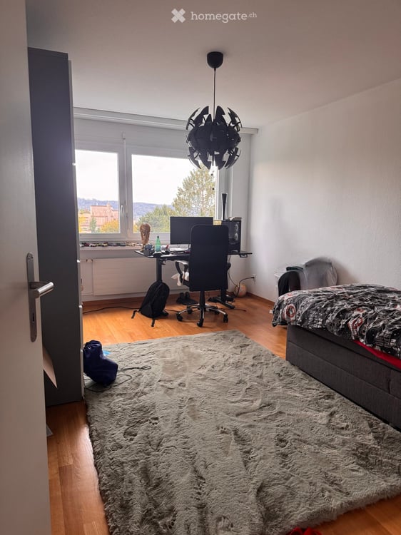 Attraktive Wohnung mit Cheminée und Aussicht 5