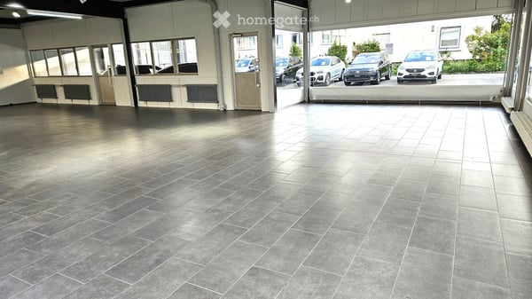 Werkstatt in Regensdorf 5