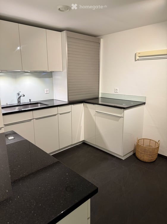 Funished Executive Apartment with Garden, Lake Views and Mid-Century Modern Style – Ideal for Expats 16