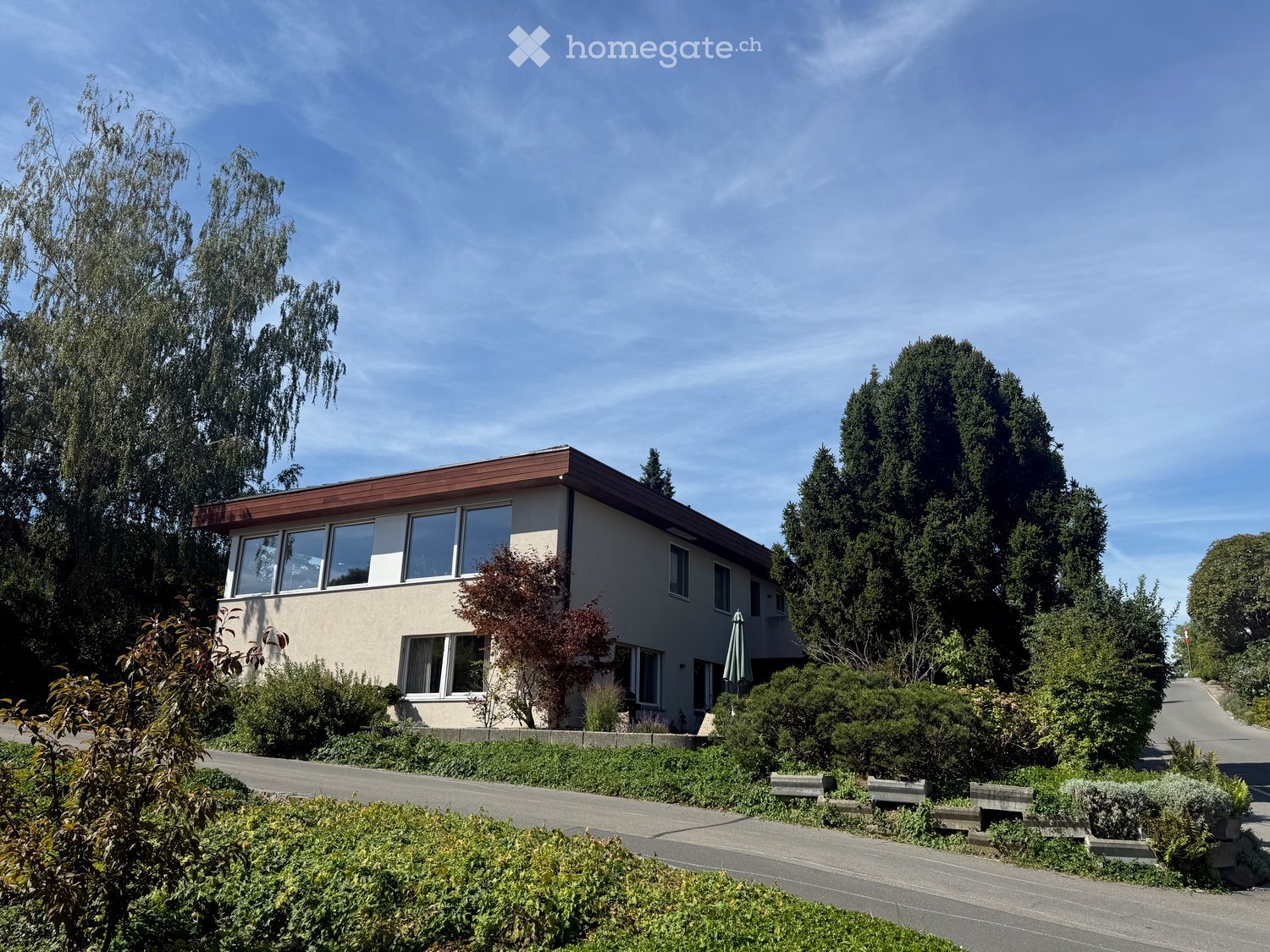 Single-story house with a flat roof, large windows, and surrounding greenery including trees and shrubs.