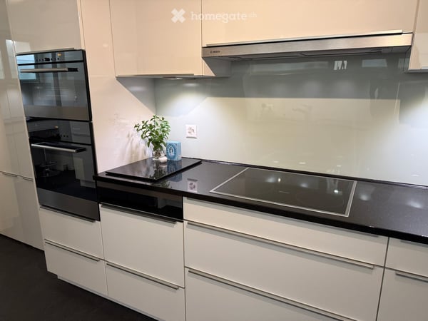 Funished Executive Apartment with Garden, Lake Views and Mid-Century Modern Style – Ideal for Expats 15