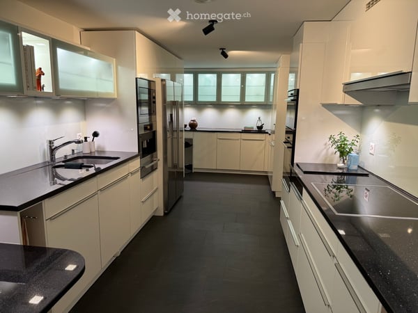 Funished Executive Apartment with Garden, Lake Views and Mid-Century Modern Style – Ideal for Expats 14