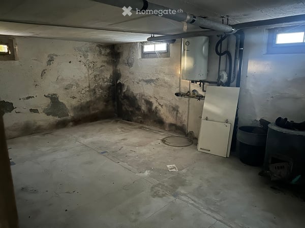 Einfamilienhaus auf dem Land 15