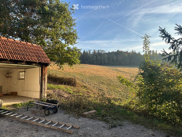 Einfamilienhaus auf dem Land 3