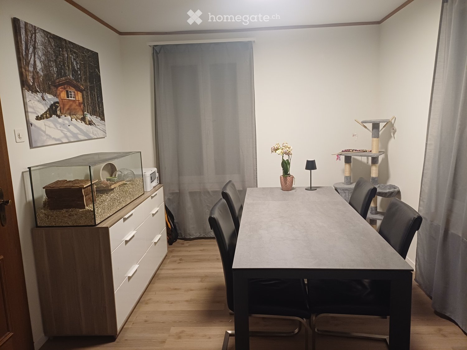 A well-lit room with a dining table and chairs, a cat tree, a small cage, a flower pot, and a lamp. The room features wooden flooring and white walls.