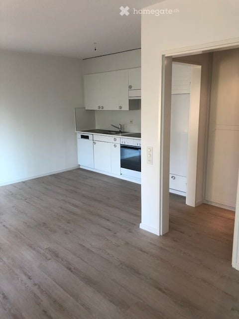 Grosszügige 1.5 Zimmer-Wohnung am Fusse der Felsenegg 3