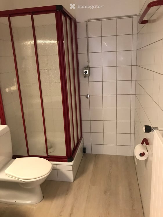 Grosszügige 1.5 Zimmer-Wohnung am Fusse der Felsenegg 10