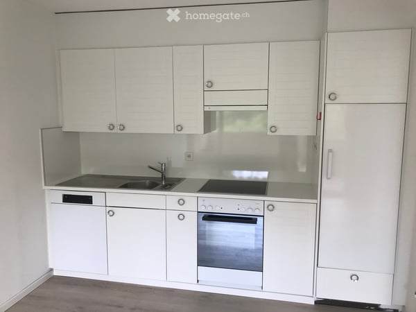 Grosszügige 1.5 Zimmer-Wohnung am Fusse der Felsenegg 4
