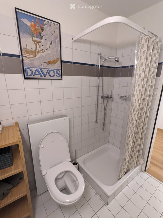 Rent a 3 ½ rooms apartment in Zurich 12