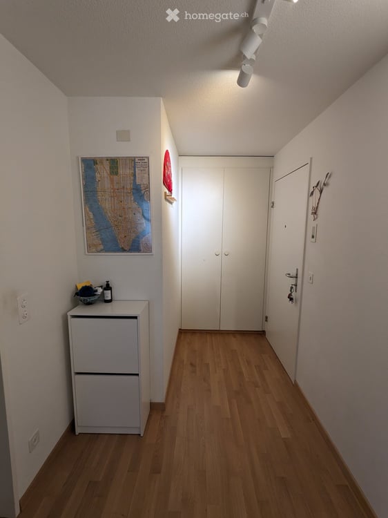 Rent a 3 ½ rooms apartment in Zurich 10