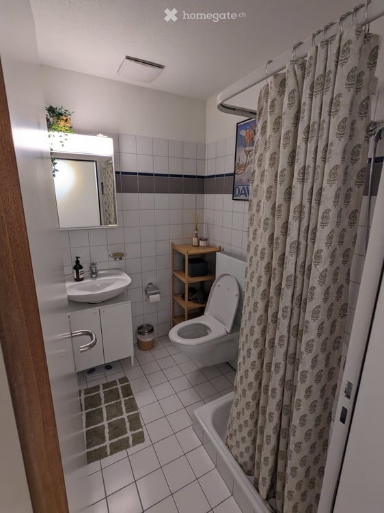 Rent a 3 ½ rooms apartment in Zurich 11