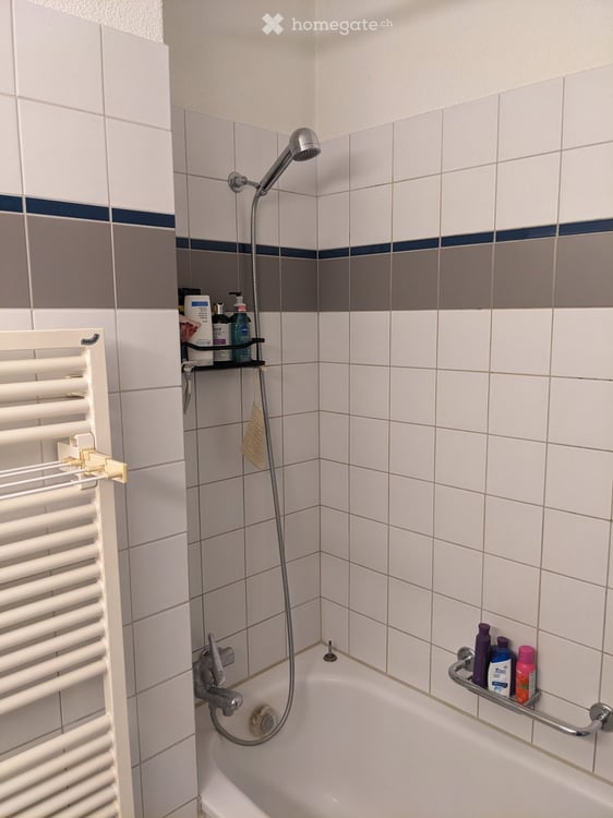 Rent a 3 ½ rooms apartment in Zurich 15