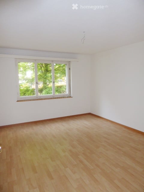 Ruhiges Wohnen in Zürich-Wiedikon – Ideal für Singles oder Paare ohne Kinder (keine WG) 4