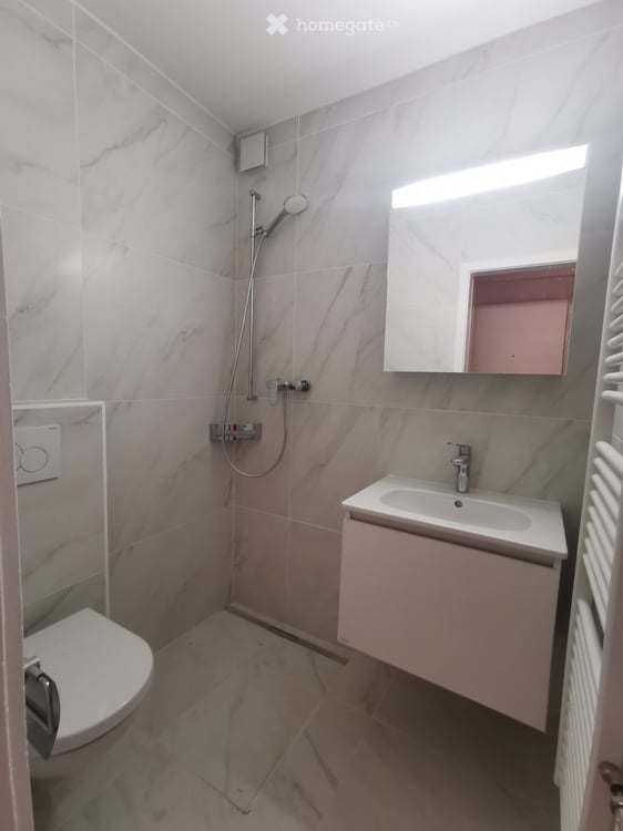 Exklusive 1 - Zimmerwohnung an Top Lage Zürich-Wipkingen 2