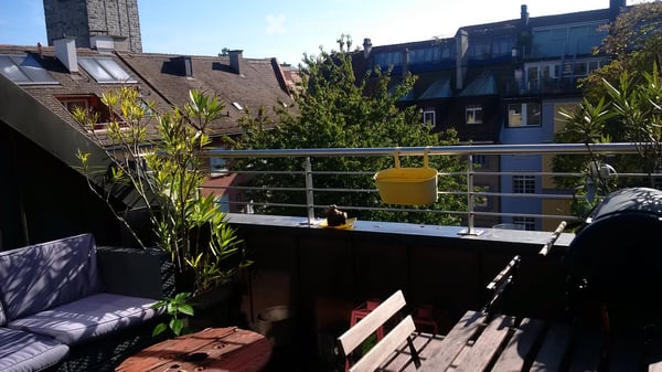 Dachwohnung mit gemütlicher Dachterrasse im Hottingen-Quartier 1
