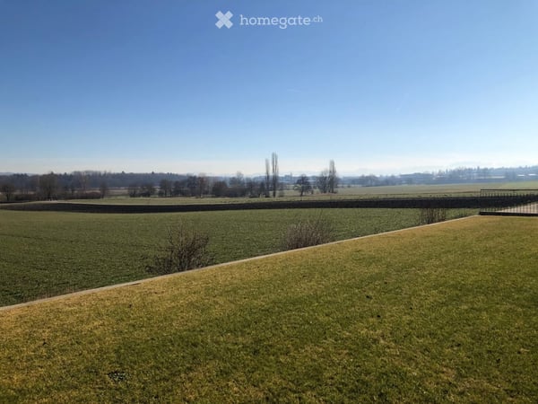 Moderne und sonnige 3.5-Zimmer-Gartenwohnung mit 2 Sitzplätzen in Oberglatt ZH 3