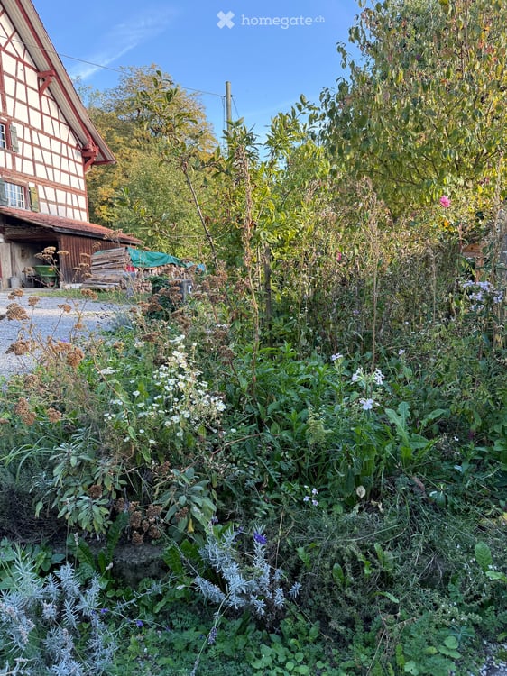 Atelierhaus im Rumstal - 2.5 Zimmerwohnung im Grünen 36