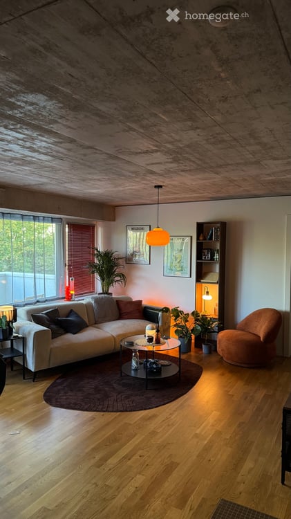 2.5 Zimmer Wohnung in Windisch
