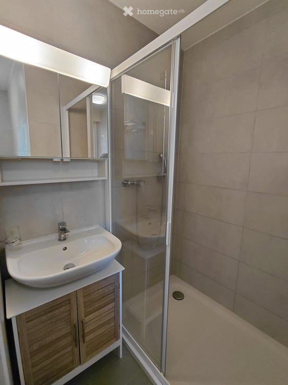 Appartement 2,5 pièces lumineux avec balcon et vue dégagée à Sierre 10