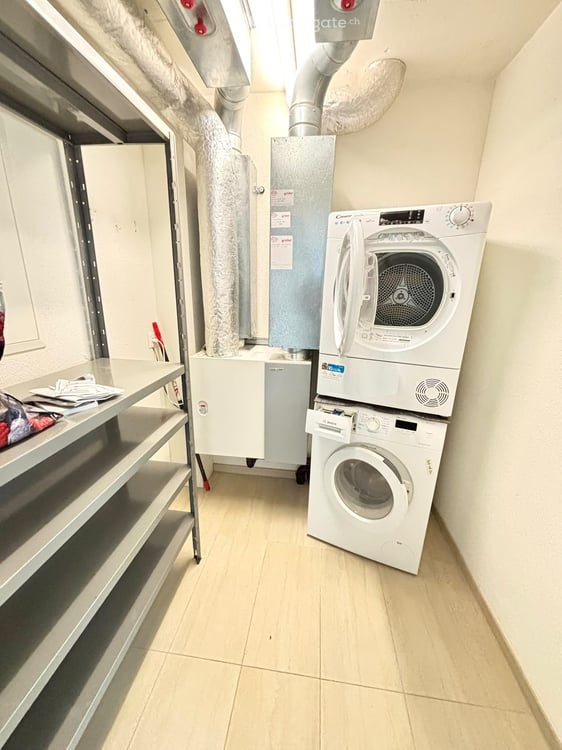 5.5 Zi. Gartenwohnung mit Panoramablick 8