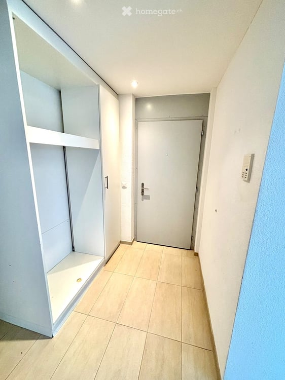 5.5 Zi. Gartenwohnung mit Panoramablick 9