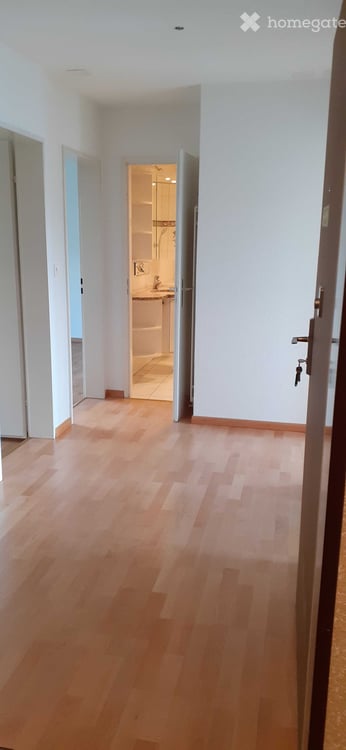 Helle 4.5-Zimmer-Wohnung mit Balkon und schöner Aussicht in Zürich-Seebach 4