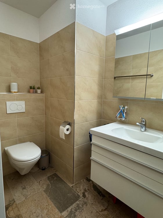 Wohnen mit Weitsicht mitten in Lenzburg - grosszügige 4.5-Zimmer-Wohnung im Villenpark 7