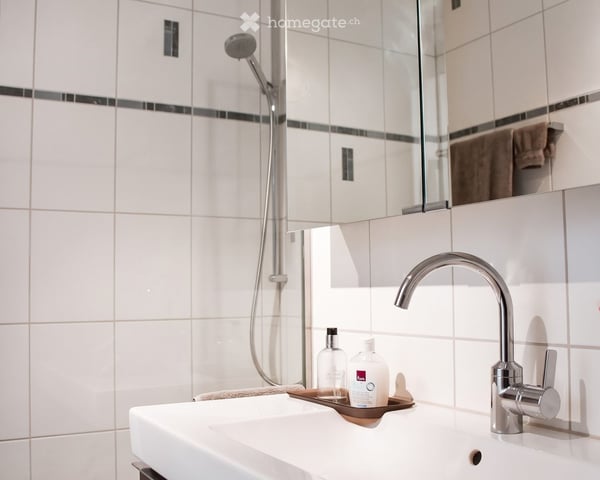 Moderne, helle und ruhige Wohnung in Hombrechtikon 7