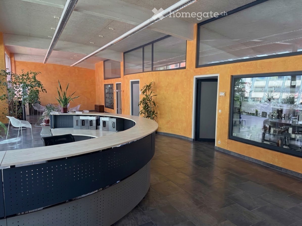 Modern office space with a curved reception desk, several chairs, potted plants, and large windows providing natural light.