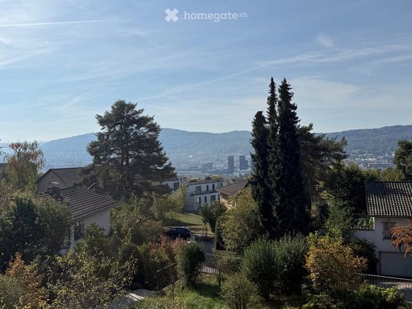 Schöne, neuwertige Wohnung an sehr ruhiger Lage in Höngg