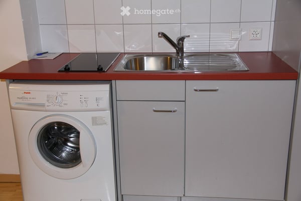 Joli Studio 67 m2 a Troinex, avec parking prive et petit jardin prive (CEVA a 5 min) 4