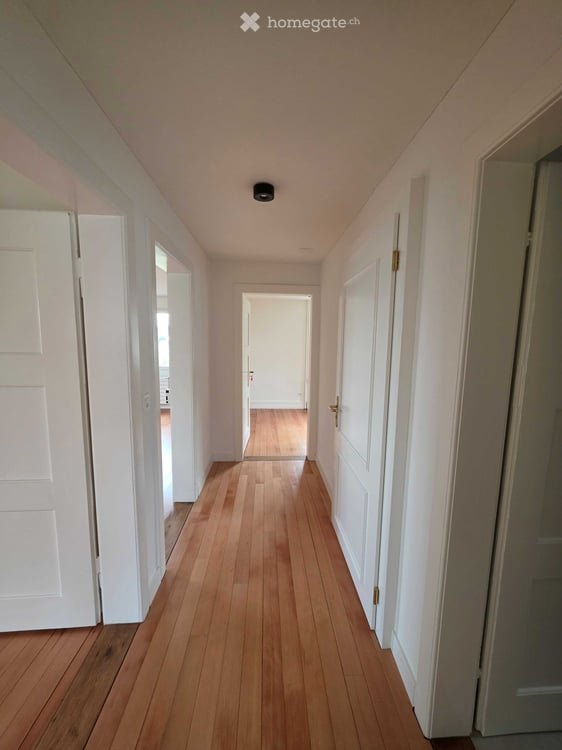 Wohnung in Günsberg: 3-Zimmer Altbauwohnung stilvoll saniert mit modernem Komfort