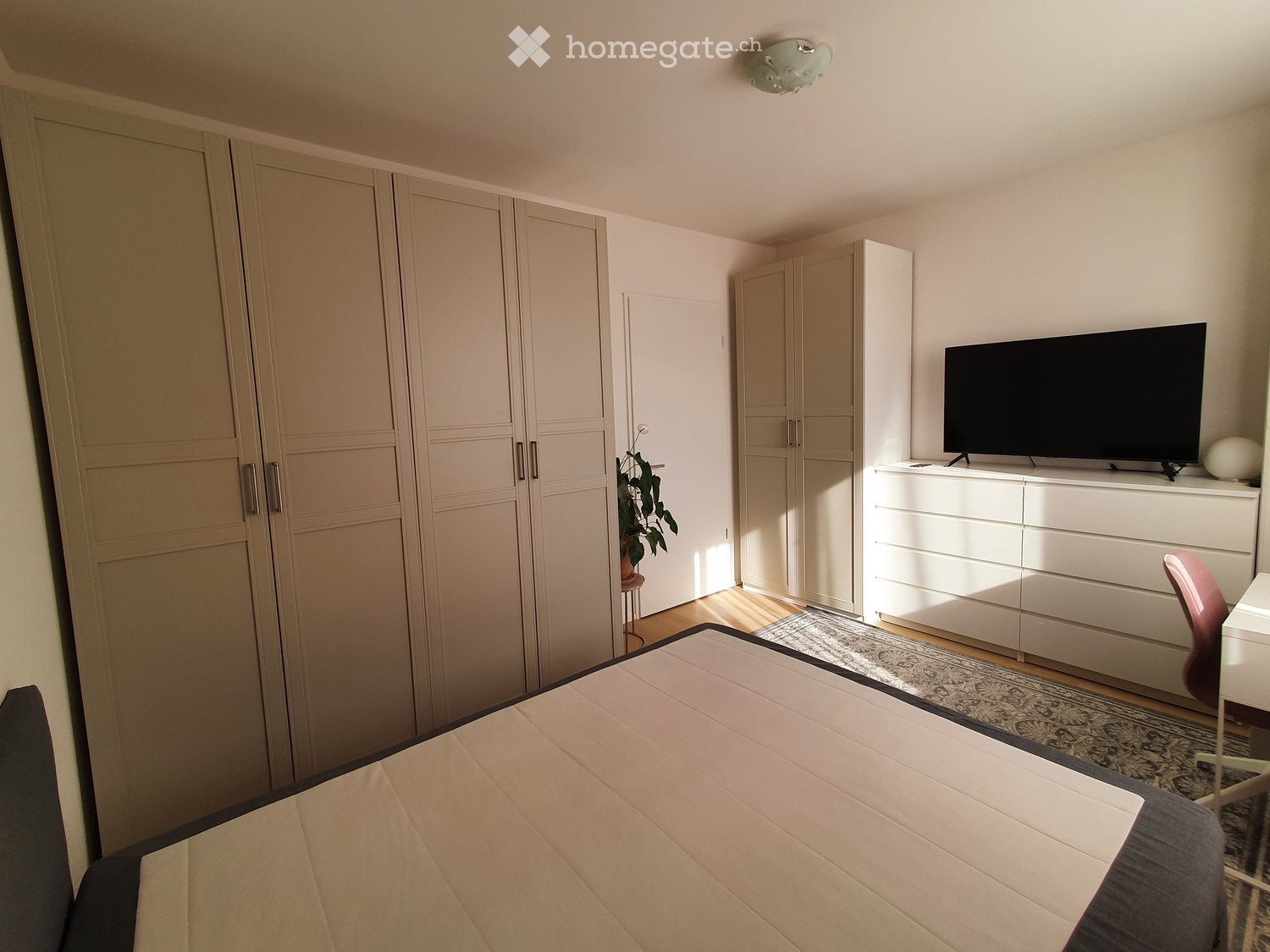 Modern bedroom with a large bed, white wardrobe, TV on a dresser, and a small plant near the door.