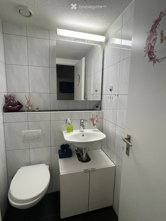 5.5-Zimmer-Attikawohnung mit privater 145 m² Dachterrasse 9