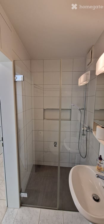 Helle 4.5-Zimmer-Gartenwohnung mit Cheminée und zwei Tiefgaragenplätzen in Effretikon 12
