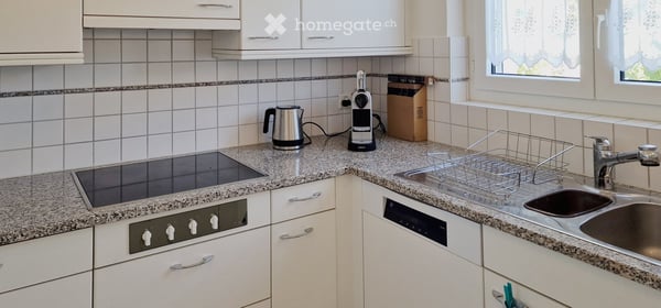 Helle 4.5-Zimmer-Gartenwohnung mit Cheminée und zwei Tiefgaragenplätzen in Effretikon 9