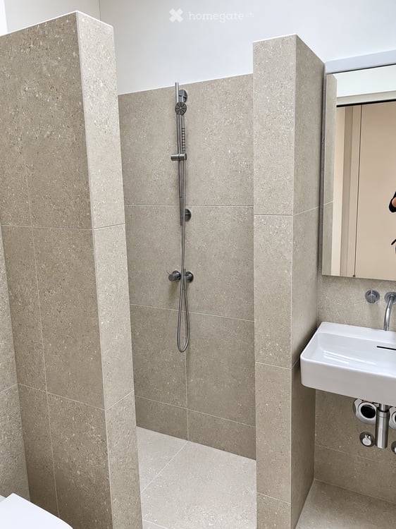 Hochwertige 3.5 Zimmer Dachwohnung für Design-und Naturliebhaber 12