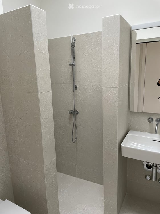 3.5 Zimmer Eigentumswohnung zur Miete für Design-und Naturliebhaber 6