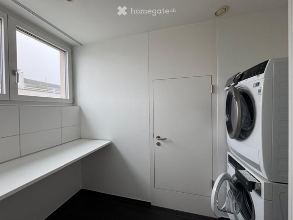 4 1/2-Zimmer -Attika-Wohnung mit Bastelraum, Kellerräumen und Garagenplätzen 10