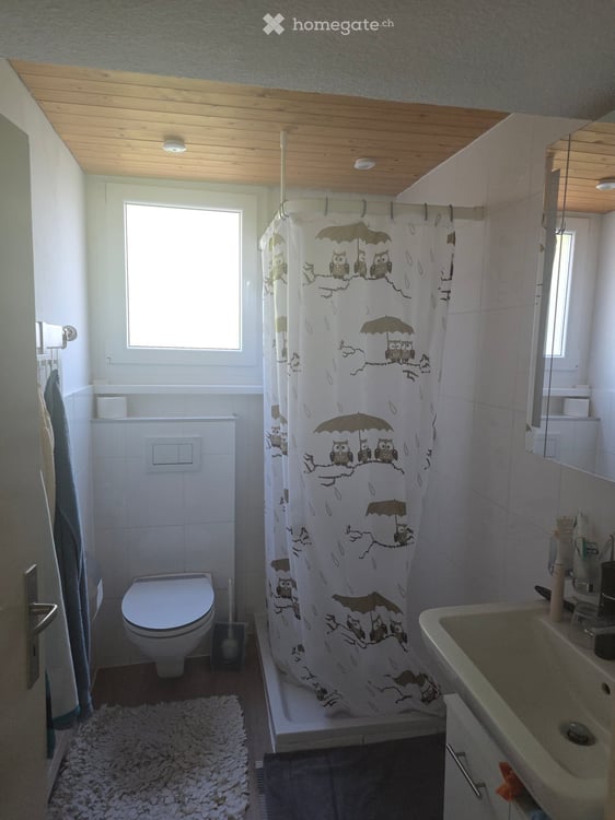 Dachwohnung in Othmarsingen 4