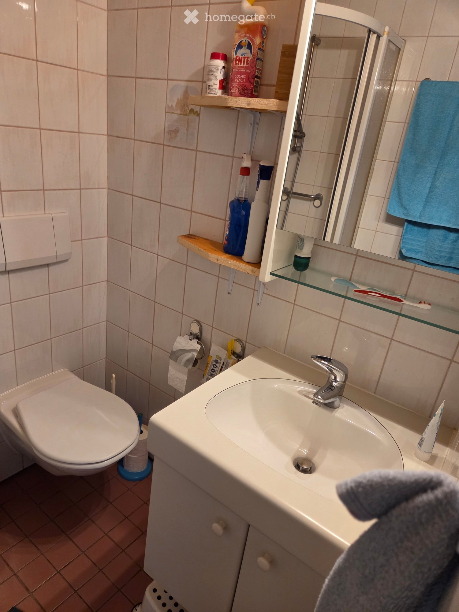 Bathroom with a white sink, chrome faucet, toilet, mirror, and various cleaning supplies on shelves.