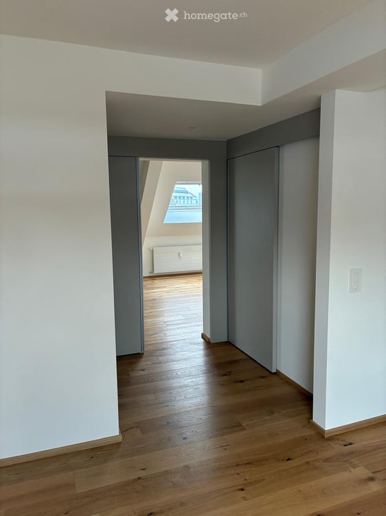Erstvermietung nach Renovation 3 - Zimmer DG-Wohnung, Nähe Waffenplatz 2