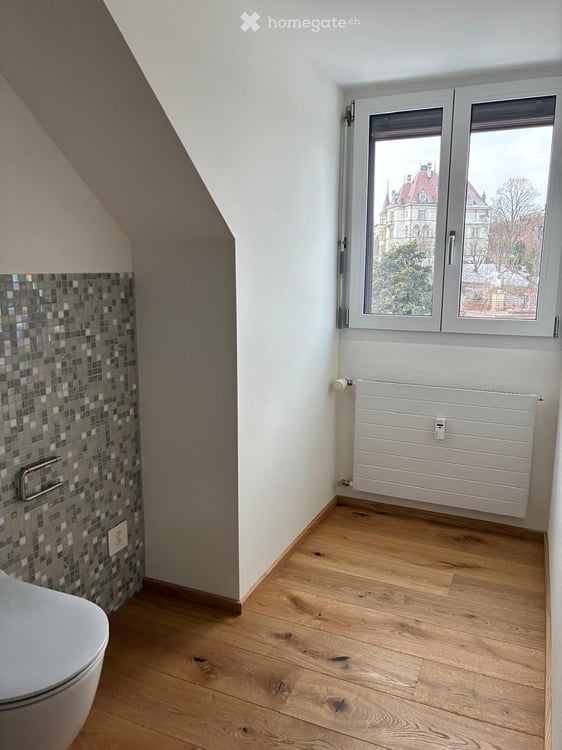 Erstvermietung nach Renovation 3 - Zimmer DG-Wohnung, Nähe Waffenplatz 5