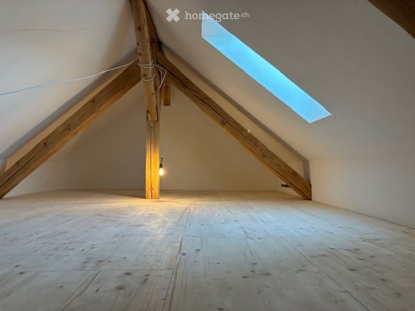 Erstvermietung nach Renovation 3 - Zimmer DG-Wohnung, Nähe Waffenplatz 10