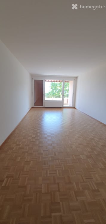 Beautiful apartment in Pt Saconnex with the Mt Blanc and Jet d'eau view 4