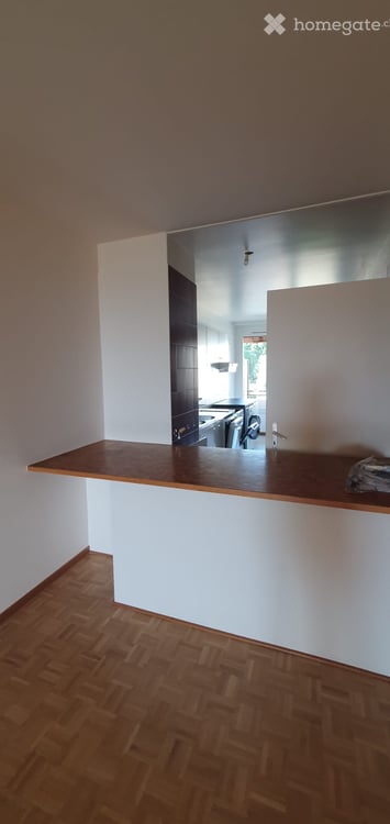 Beautiful apartment in Pt Saconnex with the Mt Blanc and Jet d'eau view 3