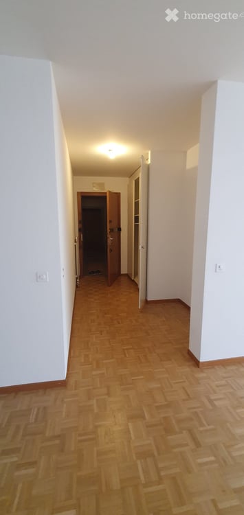 Beautiful apartment in Pt Saconnex with the Mt Blanc and Jet d'eau view 6